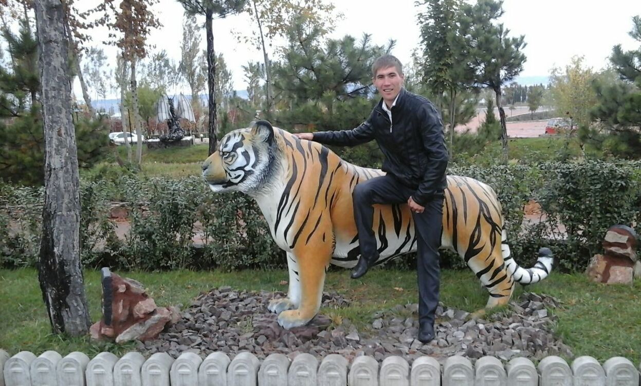 ���� 23923467 ������� �����, 32 ����, ���� ���������� � �������