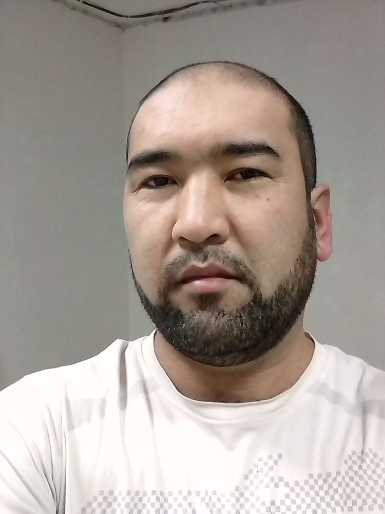 ���������� ����, ���� ������� O D I L, 40 ���, ������������ ��� ������, ����� � ���������, c�������� ���������