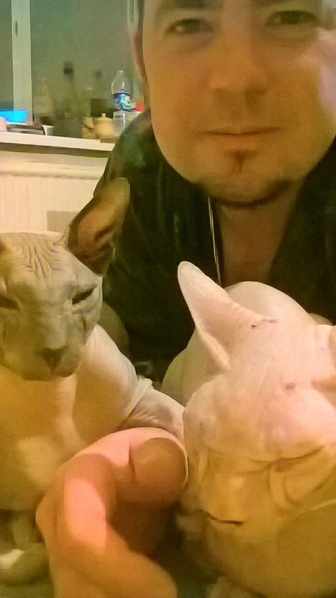  10148857  , 36 ,    -