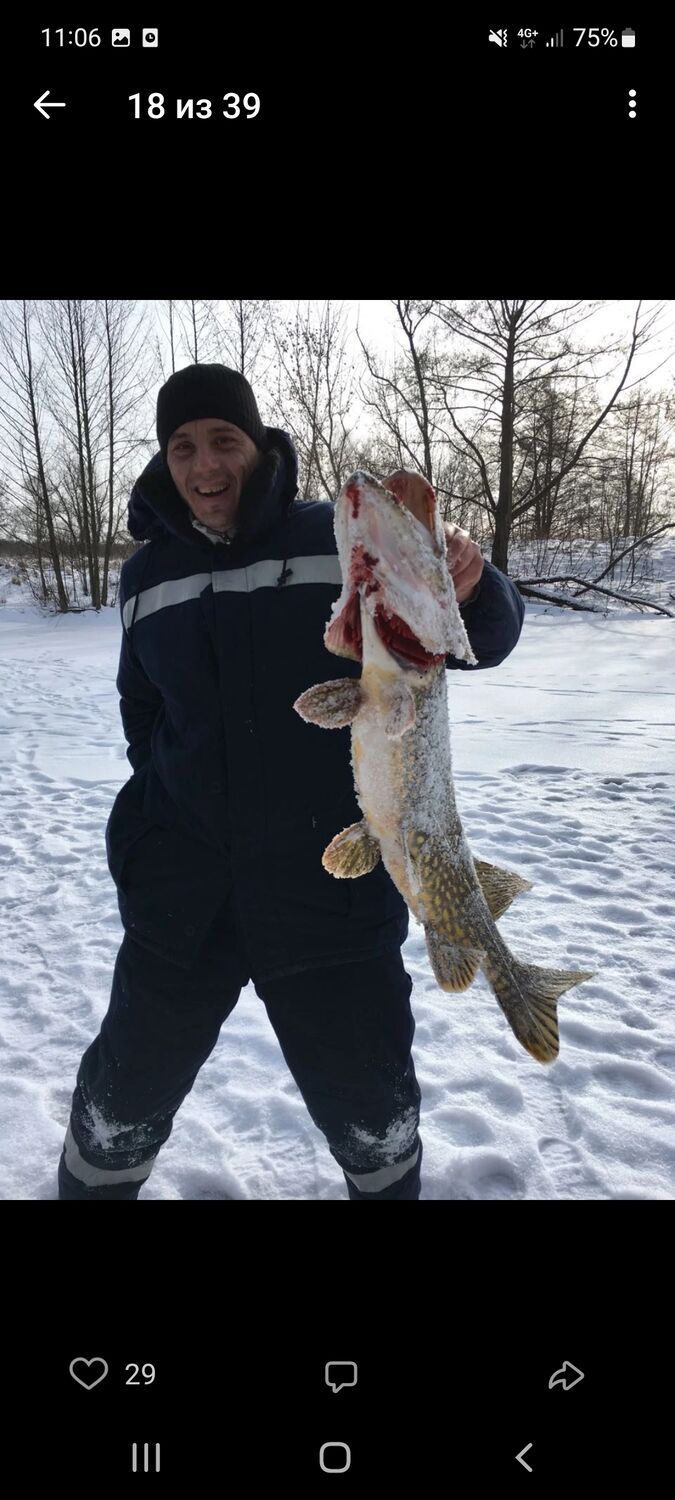 ���������� �����, ���� ������� ������, 41 ���, ������������ ��� ������, ����� � ���������, c�������� ���������