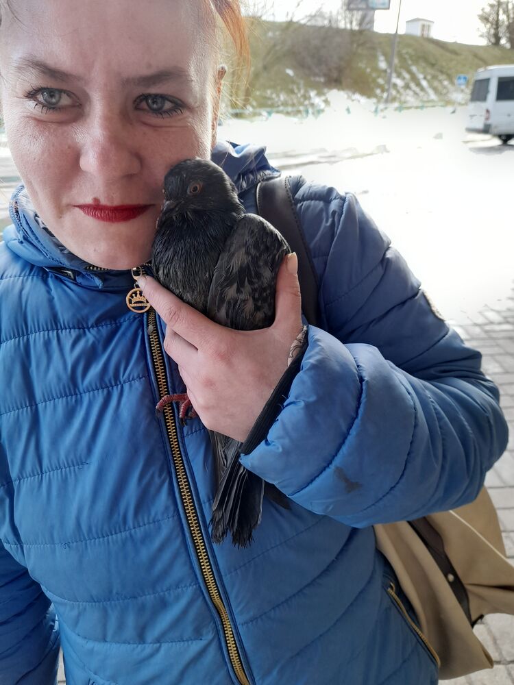 ���������� �����, ���� ������� �����, 30 ���, ������������ ��� ������, ����� � ���������