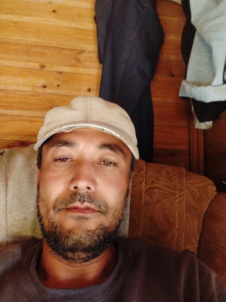  35247367   , 44 ,    
