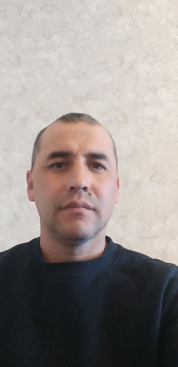  33638117  , 42 ,    