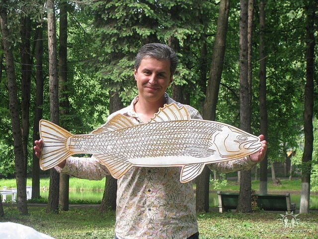 ���� 10862667 ������� ���������, 45 ���, ���� ���������� � �����������