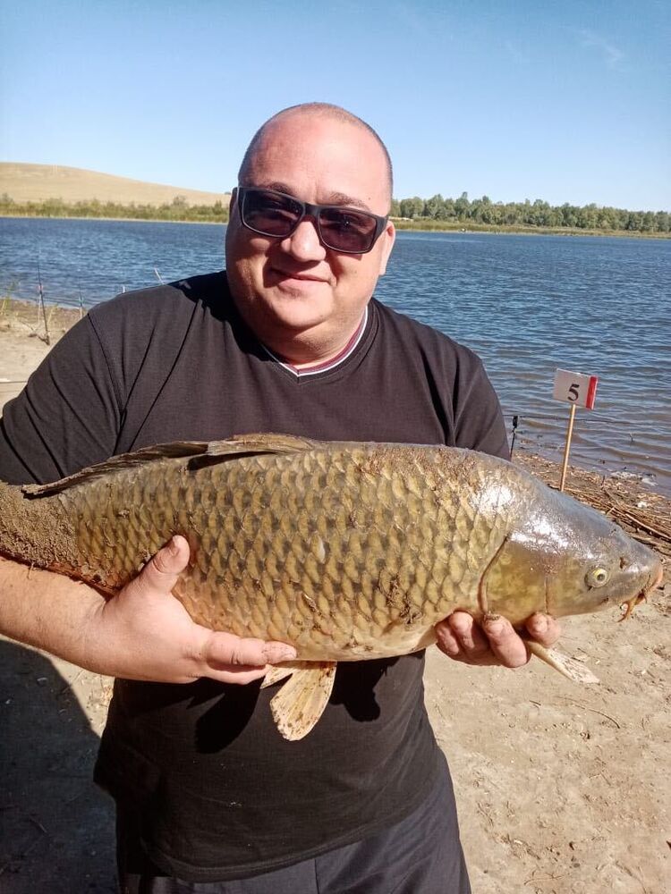 ���������� ������, ���� ������� ��������, 42 ����, ������������ ��� ������, ����� � ���������, c�������� ���������