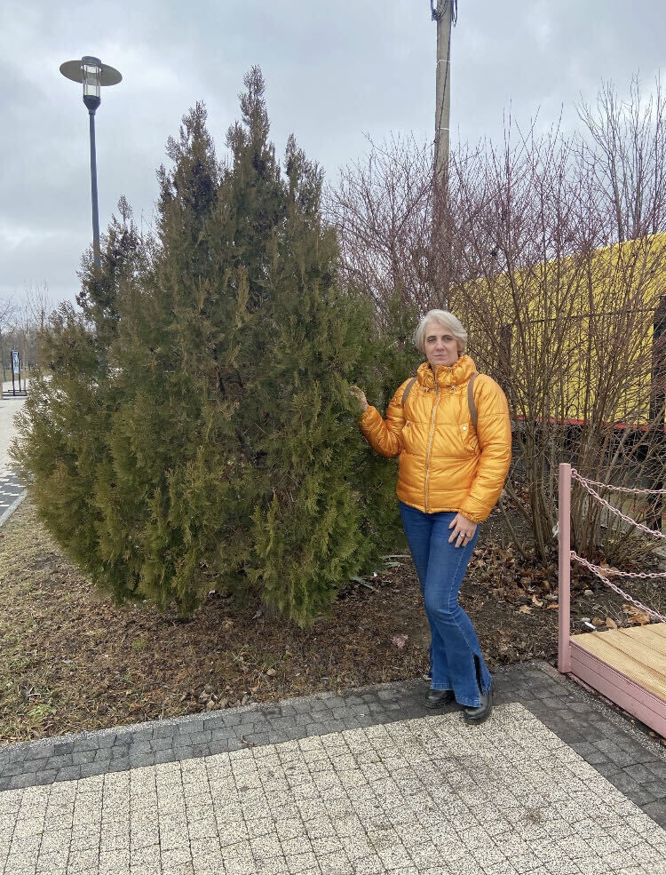  ,   , 56 ,     , c , 