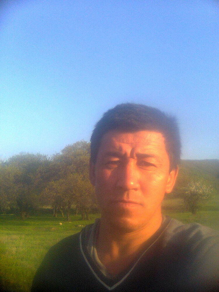 ���� 7339617 ������� ����, 47 ���, ���� ���������� � ������