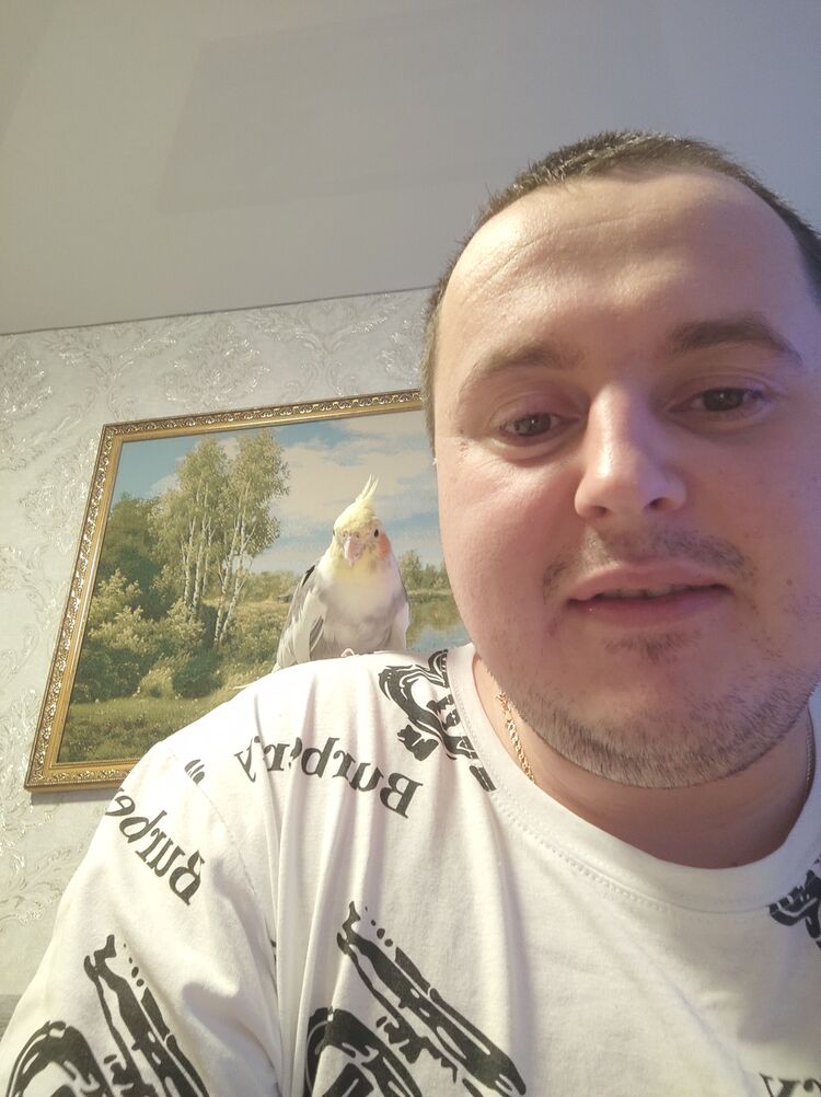  35875337  , 32 ,    