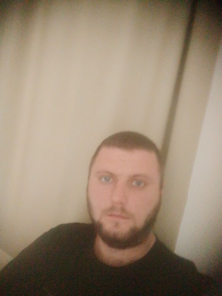  53556527  , 28 ,    