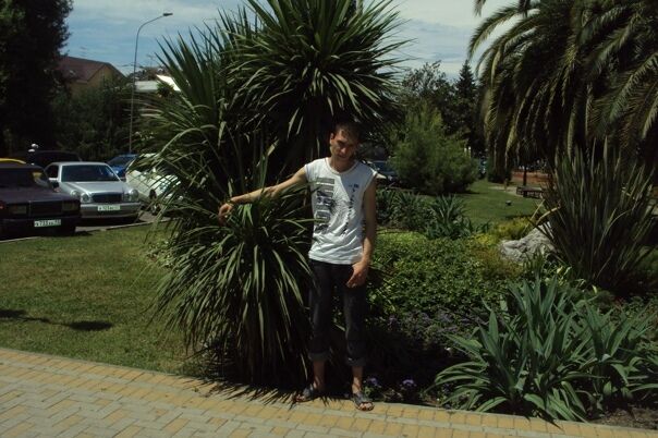 ���� 30683027 ������� ����, 37 ���, ���� ���������� � �����