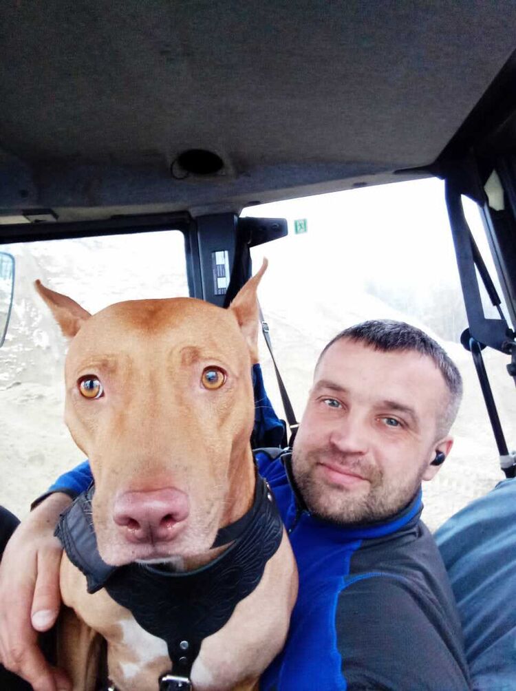 ���������� �����-���������, ���� ������� ������, 40 ���, ������������ ��� ������, ����� � ���������, c�������� ���������, ���������