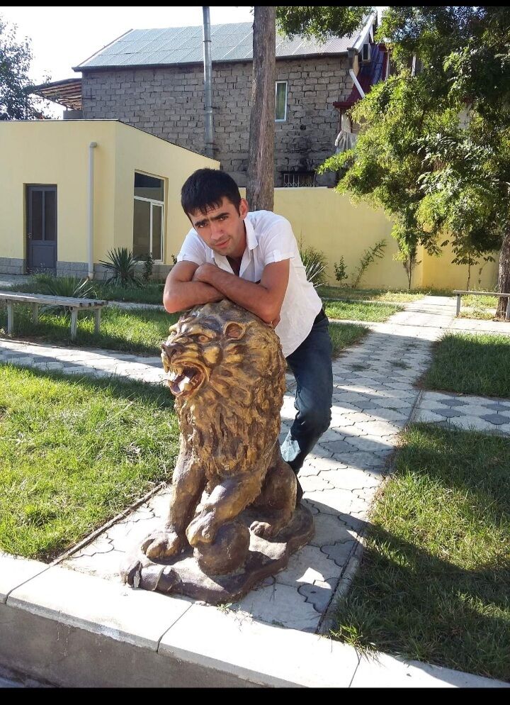 ���������� ����������, ���� ������� ��������, 38 ���, ������������ ��� ������, ����� � ���������