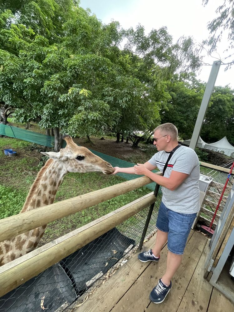 ���������� ���������, ���� ������� �������, 45 ���, ������������ ��� ���������