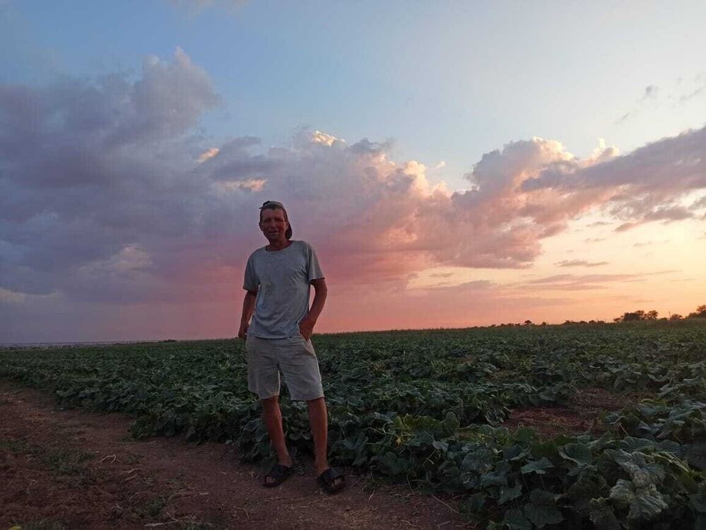 ���� 20949807 ������� ���������, 48 ���, ���� ���������� � ����������