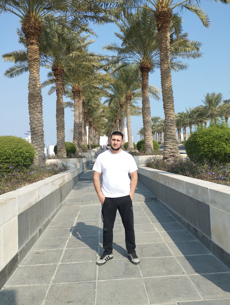 50824477  , 37 ,    -