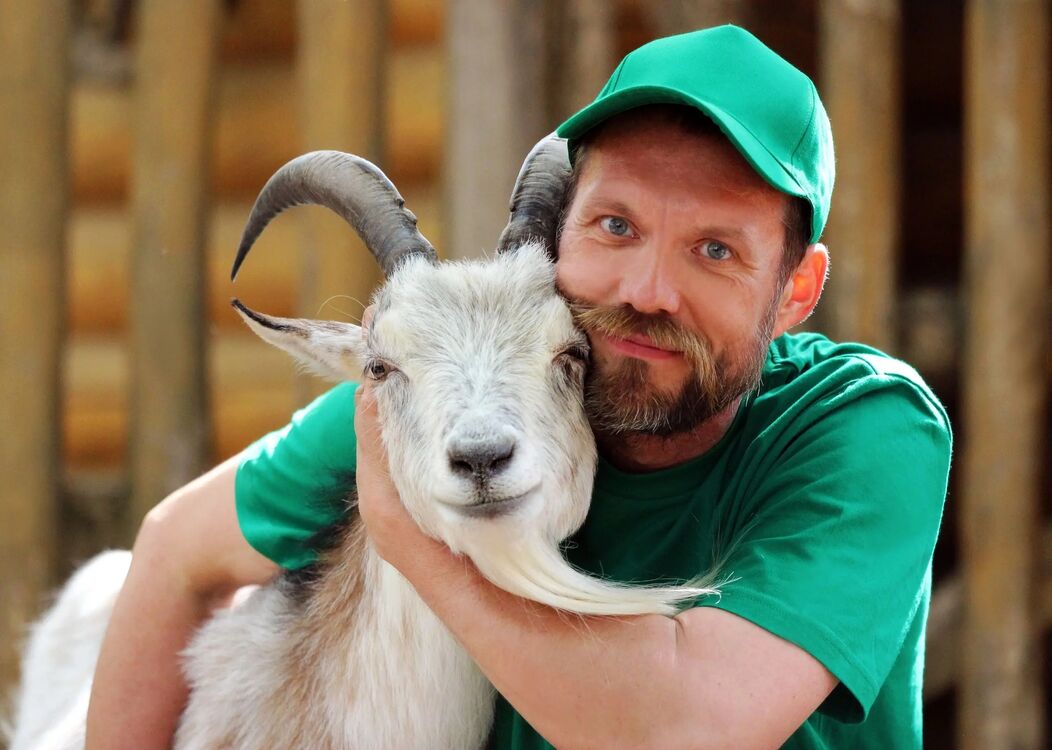 ���� 42833577 ������� ���������, 50 ���, ���� ���������� � ������ ���������