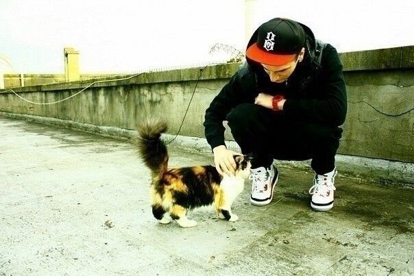 ���������� ����, ���� ������� �������, 33 ����, ������������ 