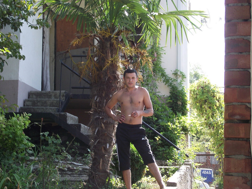 ���� 26650857 ������� �������, 46 ���, ���� ���������� � ������