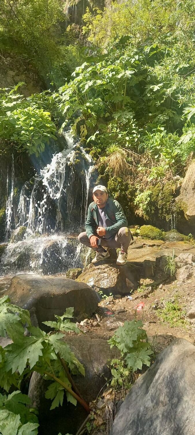 ���� 43918317 ������� ����, 35 ���, ���� ���������� � ������������