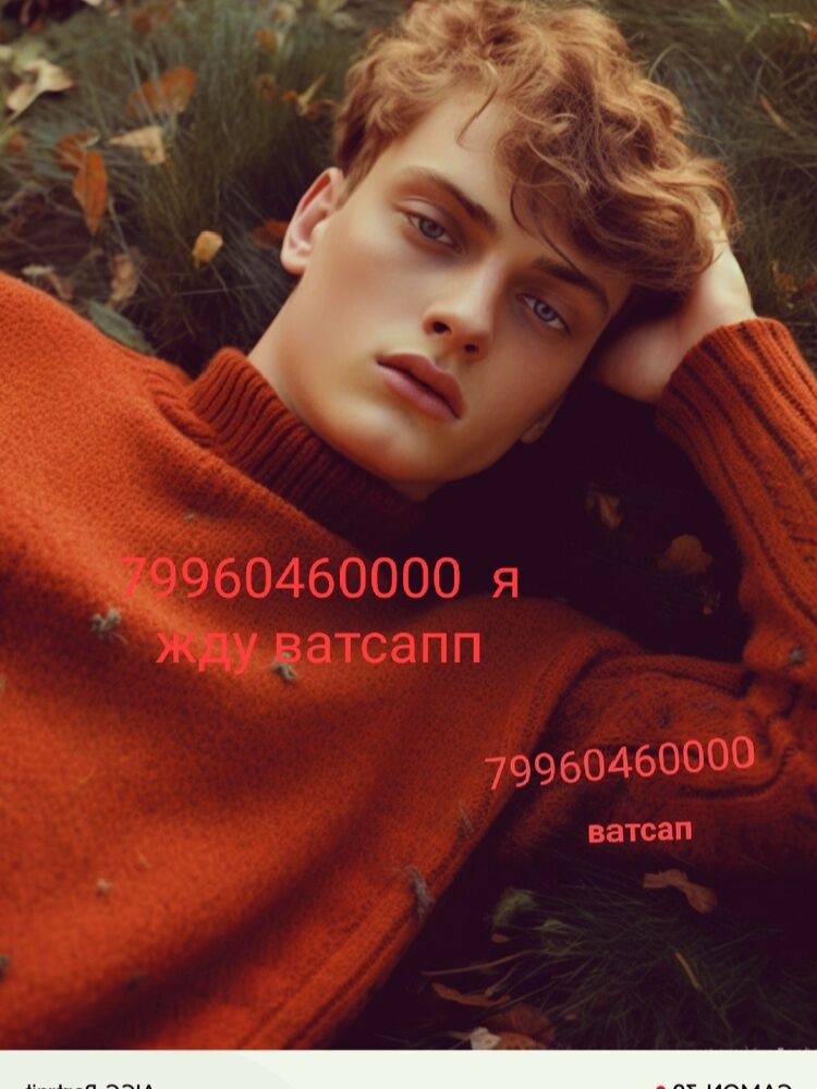  45670767  , 31 ,    