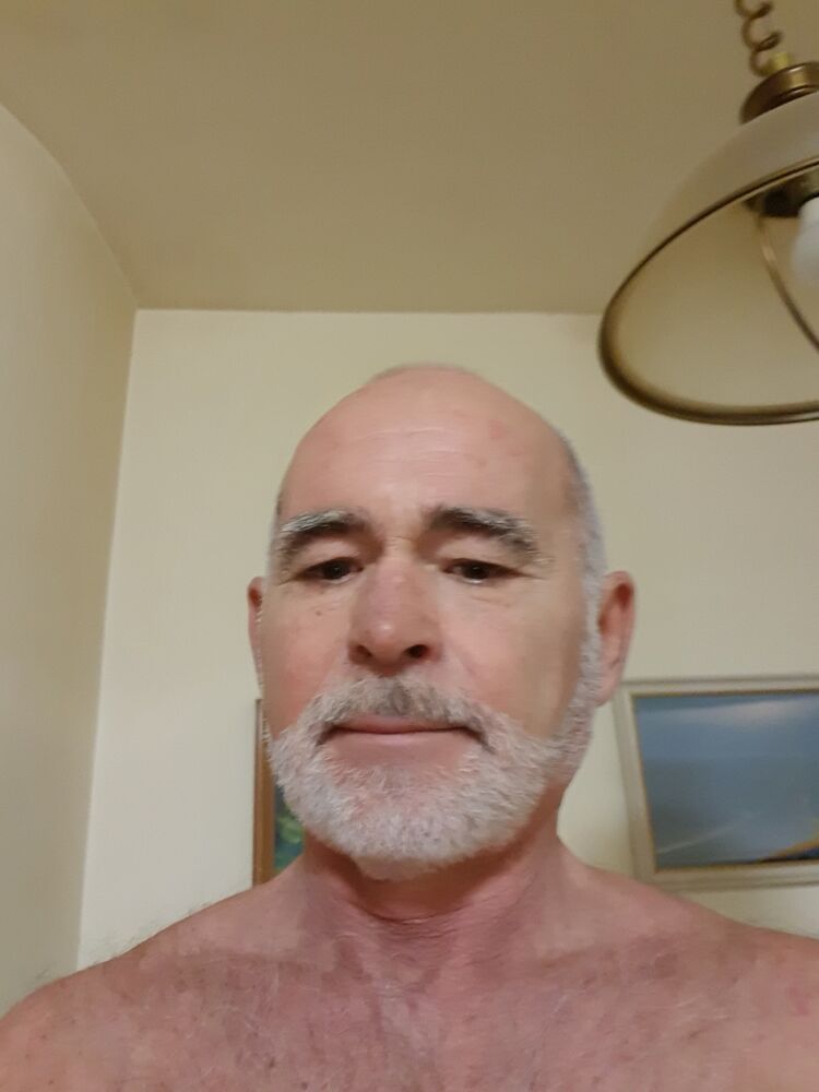  41080097  , 64 ,    