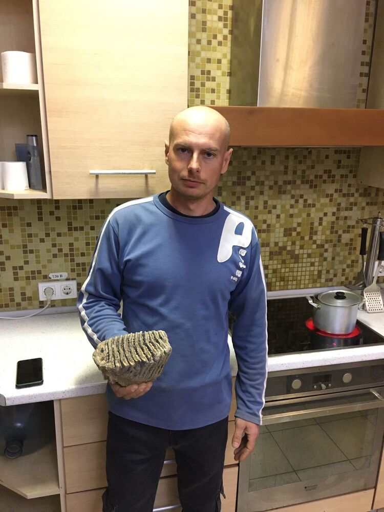 ���� 41875397 ������� ������, 36 ���, ���� ���������� � ������