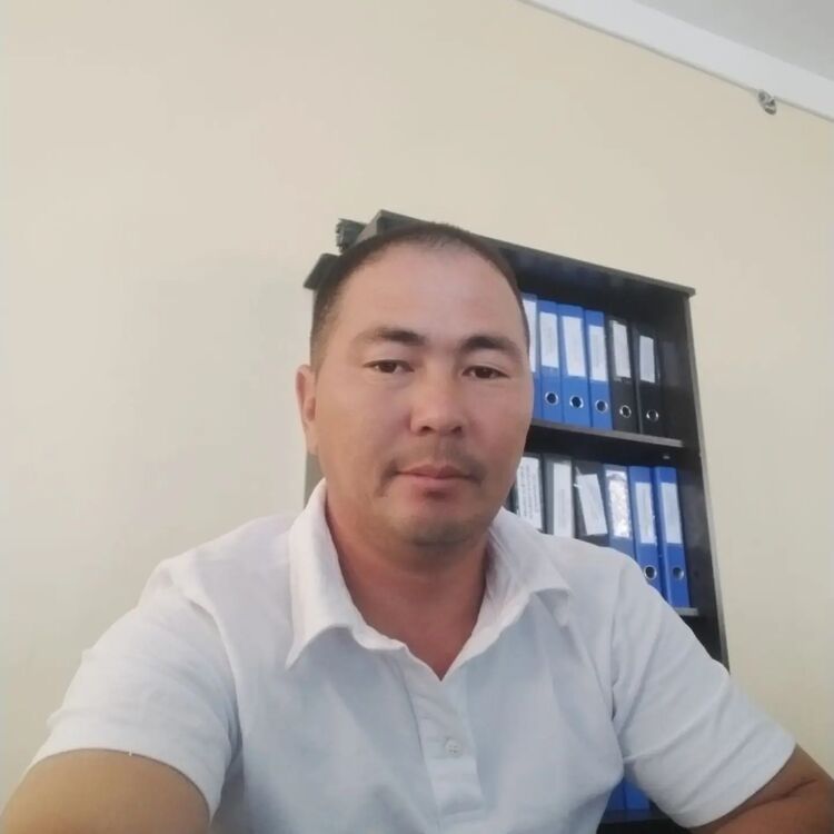 ���� 55906287 ������� ����������, 40 ���, ���� ���������� � ��������