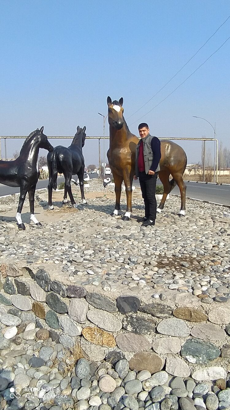  43063187  Mansur, 36 ,    