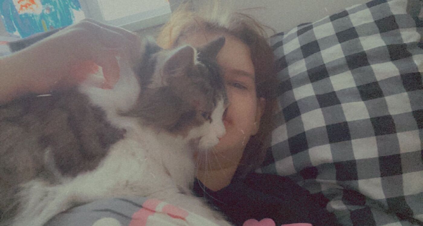  ,   , 22 ,     , 