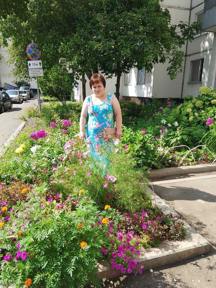 ���������� ������, ���� ������� ���������, 38 ���, ������������ ��� ������, ����� � ���������