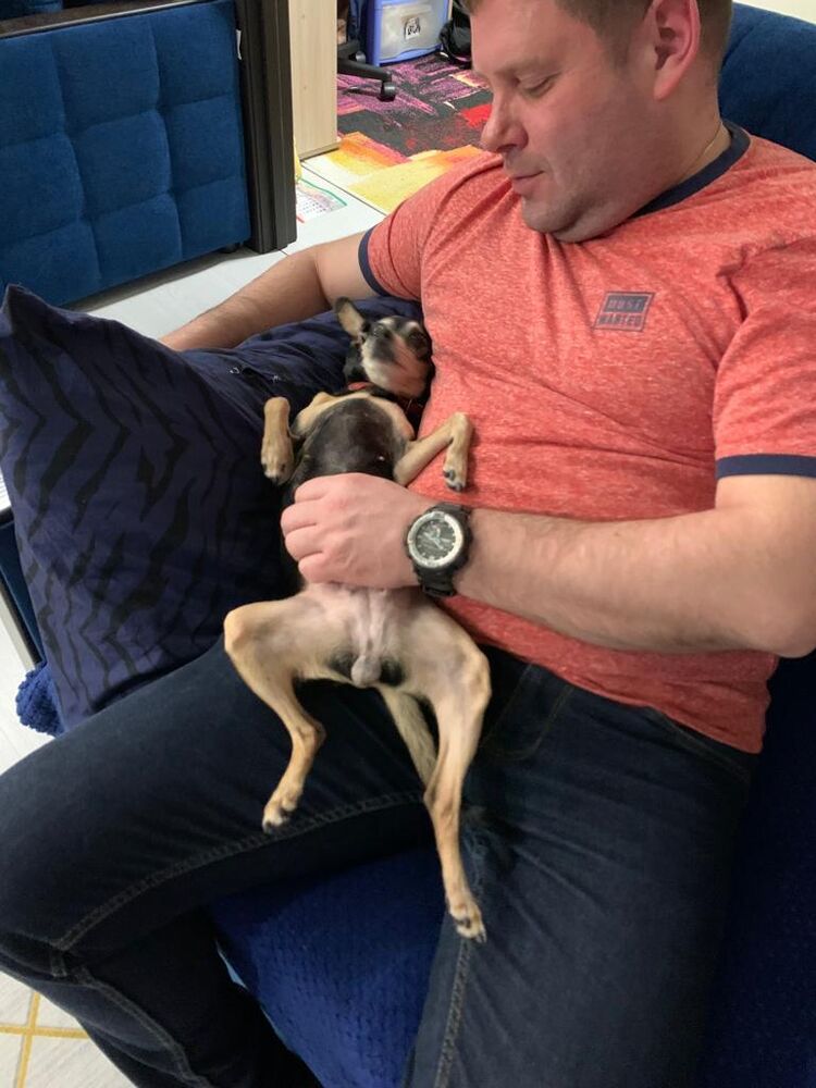 ���������� ������, ���� ������� �����, 41 ���, ������������ ��� ������, ����� � ���������