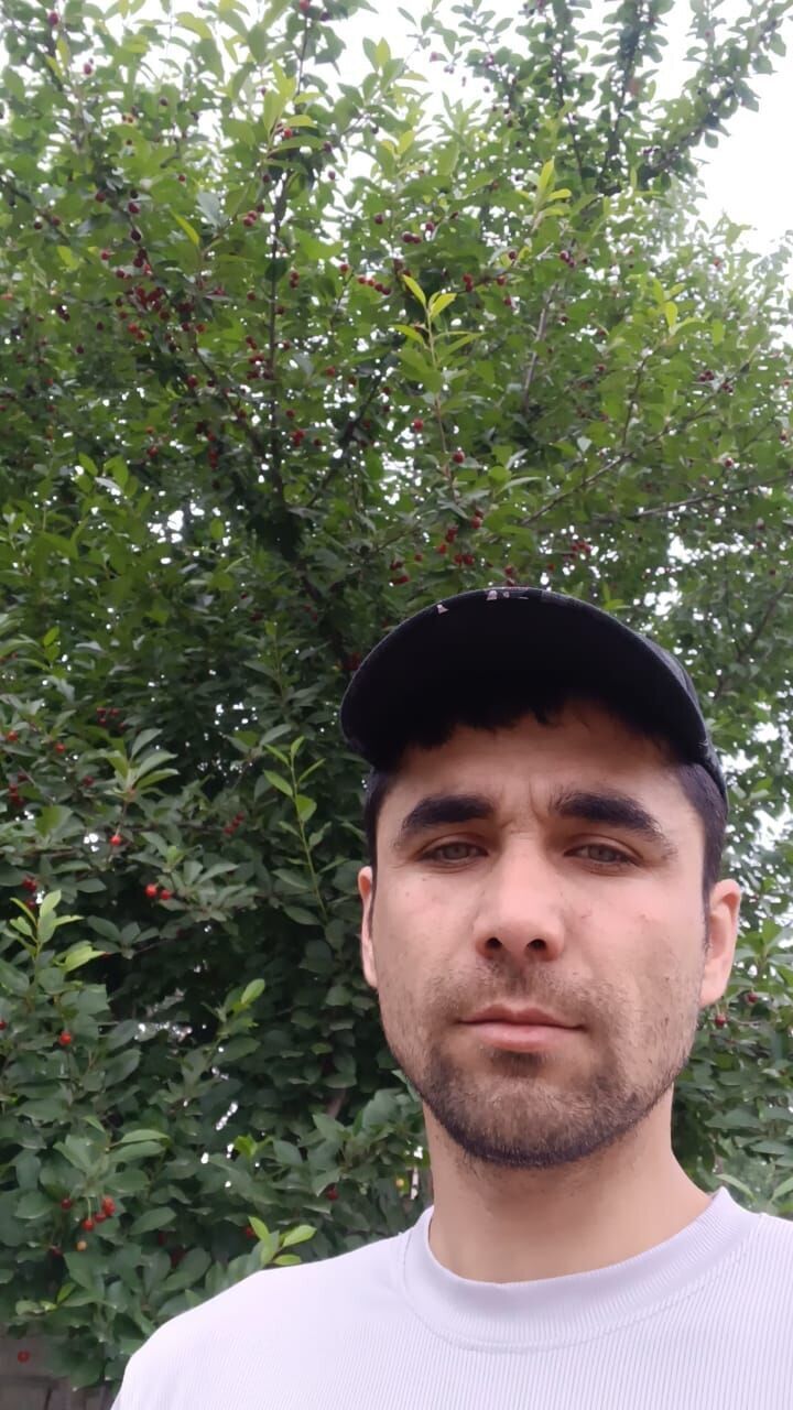  34782267   , 37 ,    