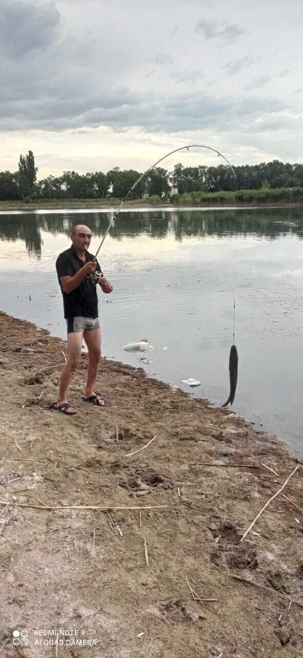 ���������� ������, ���� ������� ������, 42 ����, ������������ ��� ������, ����� � ���������