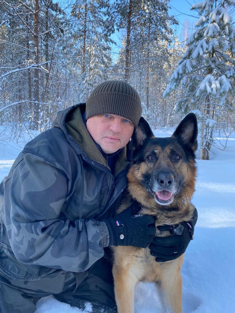 ���������� �����������, ���� ������� �����, 50 ���, ������������ ��� ������, ����� � ���������