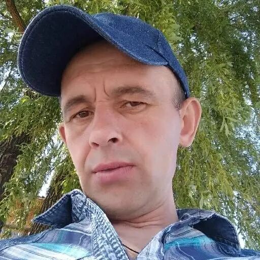 ���� 56091157 ������� �������, 48 ���, ���� ���������� � �������