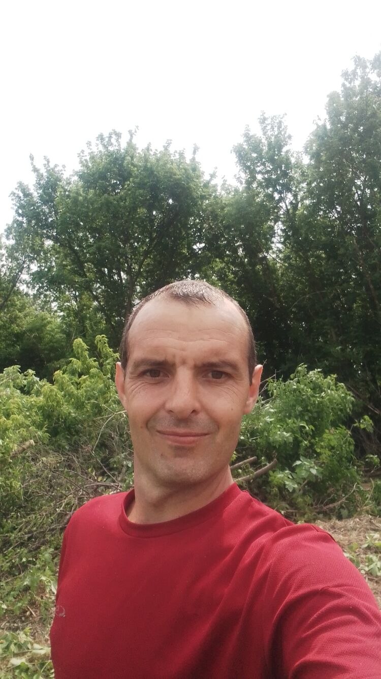  45160547  , 37 ,    