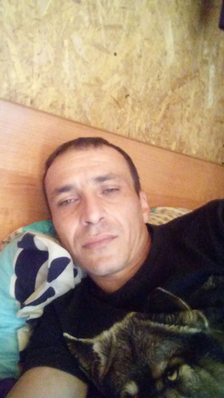  34684397  , 40 ,    -