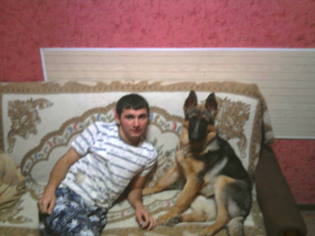 ���������� ������, ���� ������� Artak, 36 ���, ������������ ��� ������, ����� � ���������, c�������� ���������, ���������