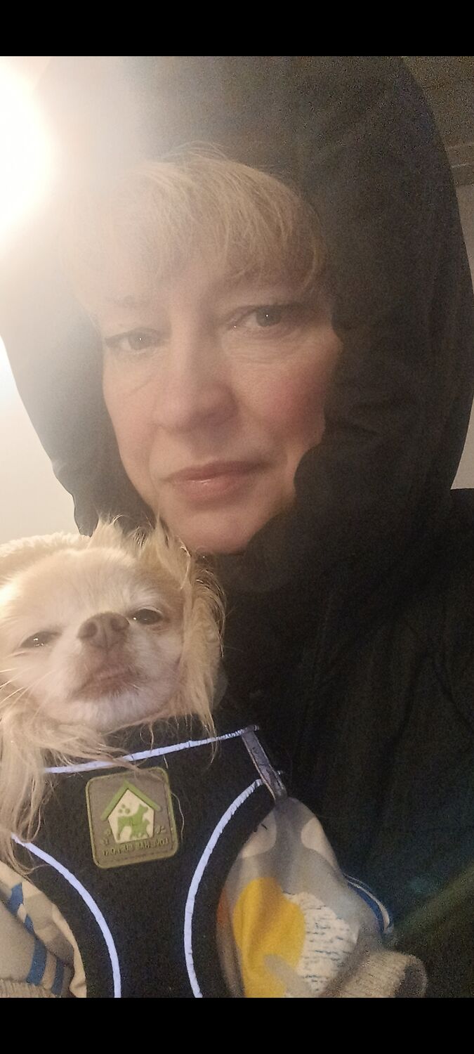 ���������� ��������, ���� ������� ����, 48 ���, ������������ ��� c�������� ���������