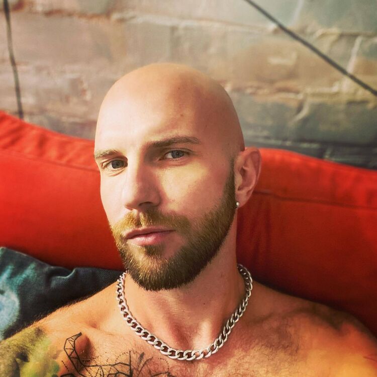  53568087  , 41 ,    