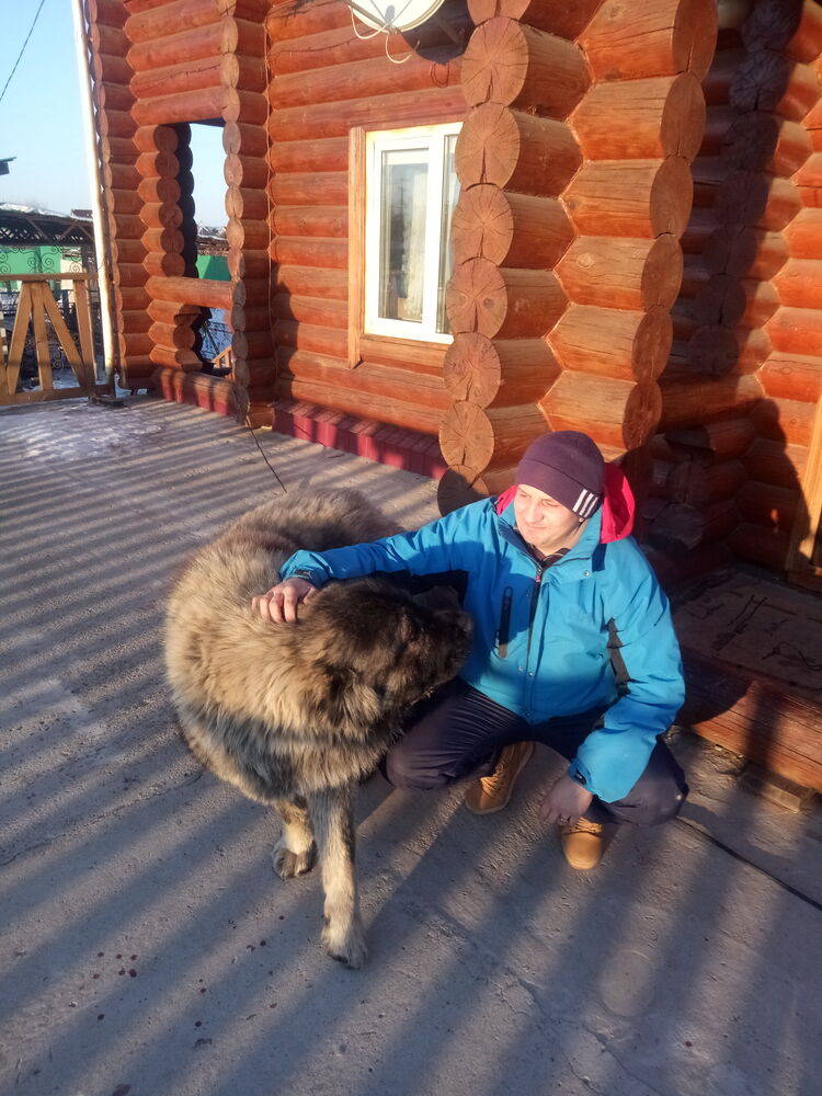 ���������� ������������, ���� ������� �����, 44 ����, ������������ ��� ����� � ���������, c�������� ���������