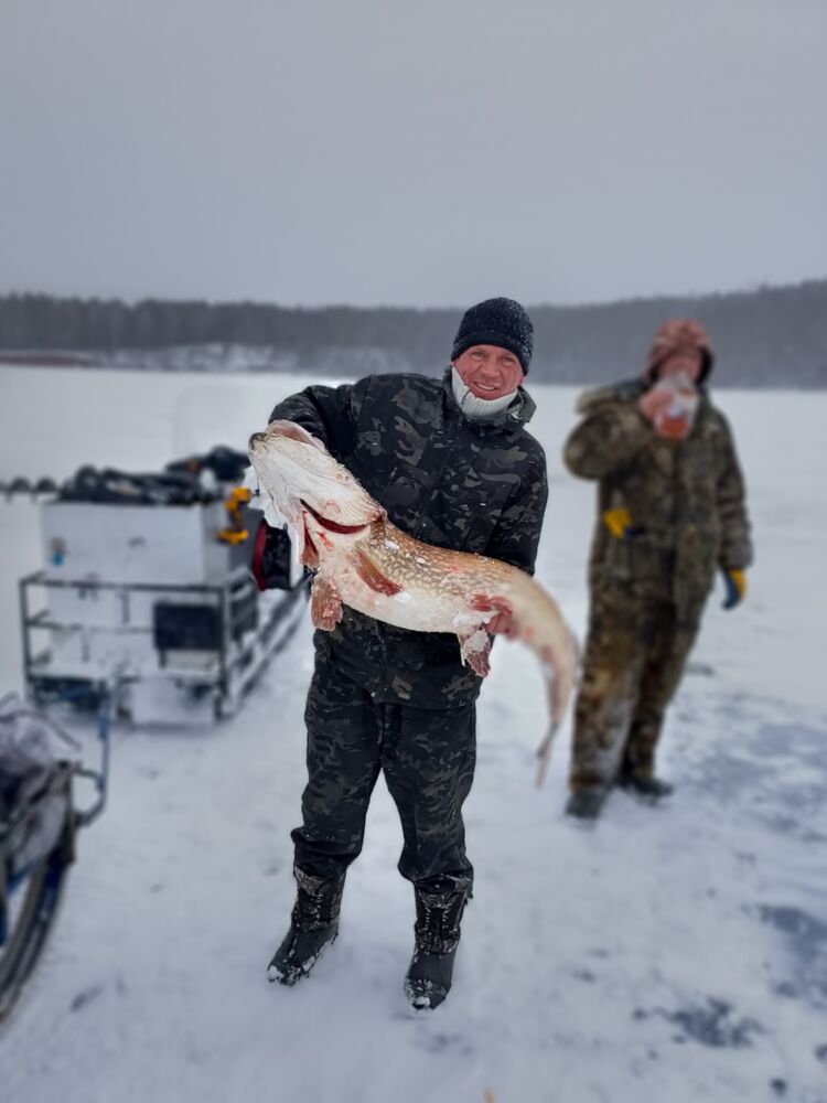  53263297  , 42 ,    -