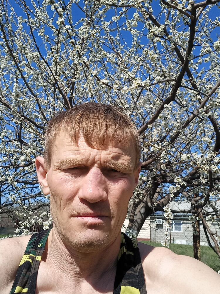  -,   , 47 ,   ,   