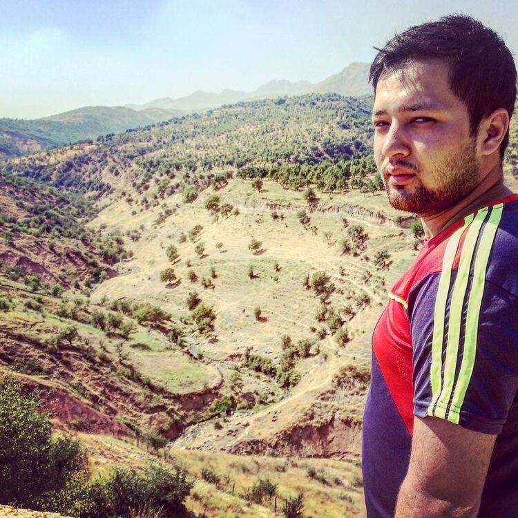 ���� 17778987 ������� ����, 36 ���, ���� ���������� � ������