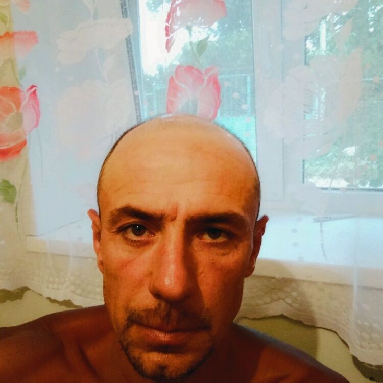 ���� 24873087 ������� ������, 52 ����, ���� ���������� � ����������