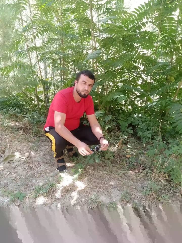  ,   , 34 ,   ,   