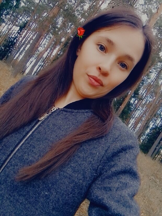  53792837  , 26 ,    