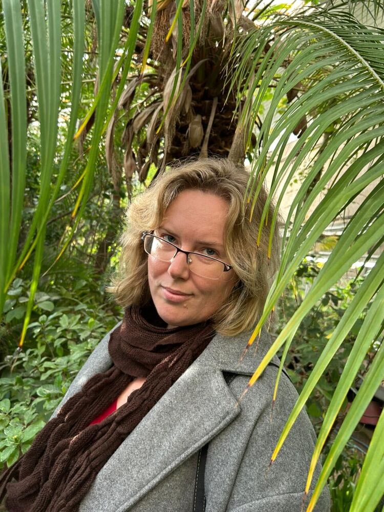  54505337  , 38 ,    -