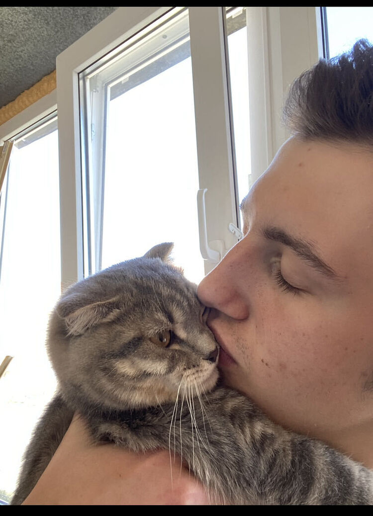  44452597  , 22 ,    -