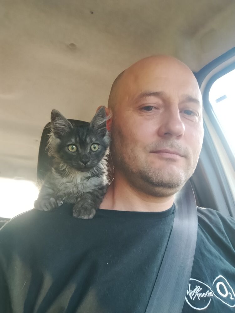  54103667  Sergei, 42 ,    